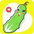 黄瓜视频深夜看片软件 v1.4.3