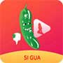 污版丝瓜app安卓版 v3.1.1