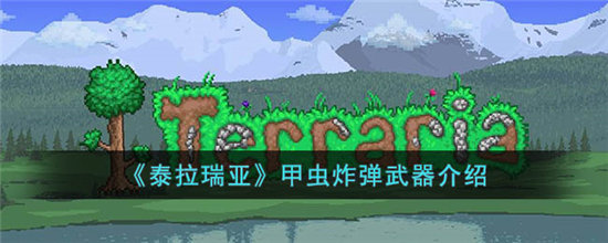 《泰拉瑞亚》甲虫炸弹武器介绍