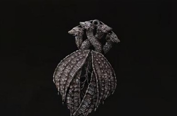 艾尔登法环传说护符获得全攻略