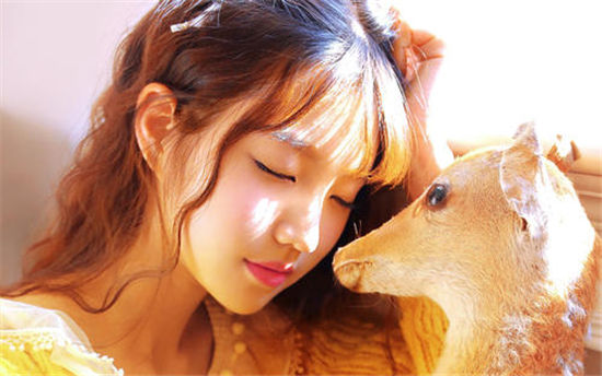 丝瓜草莓向日葵芭比小猪yzx未满app