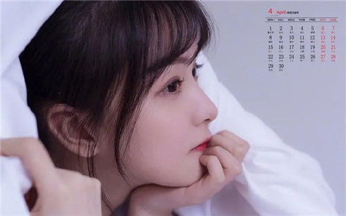 野花 高清 中文 免费 日本