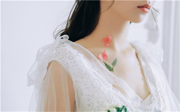 国语仙踪林cheapwindowsvps终于迎来更新,粉丝:新版本体验就是不一样!