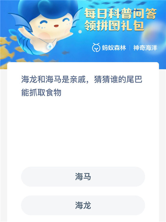 《神奇海洋》10月18日海龙和海马是亲戚,猜猜谁的尾巴能抓取食物