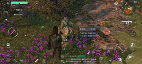 黎明觉醒生机孔雀石获取攻略-黎明觉醒生机孔雀石怎么获取