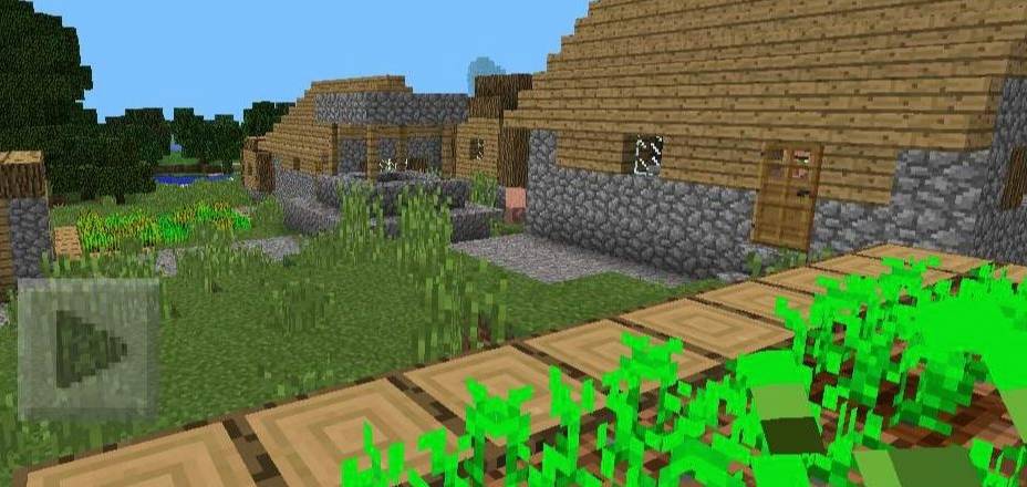 马铃薯种子获取攻略