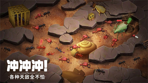 蚁族崛起官方下载