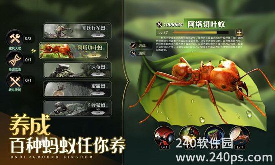 小小蚁国最新版中文版下载