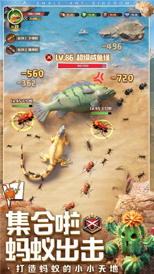 小小蚁国内购版