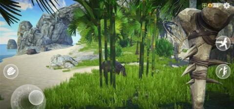 最后的海盗岛屿生存安卓解锁版