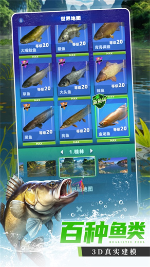 钓鱼大咖官方下载