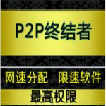 p2p终结者最高权限破解版