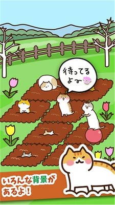 猫咪田园中文版安卓版下载