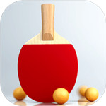 虚拟乒乓球中文解锁版下载  V2.2.5