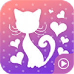 猫咪视频app社区