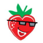 成版人草莓app软件