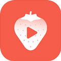 草莓视频APP下载安免费装安卓