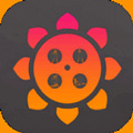 向日葵app下载汅api免费版没有病毒  v2.3.3