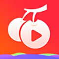 樱桃草莓秋葵丝瓜黄瓜绿巨人app  v1.0.1