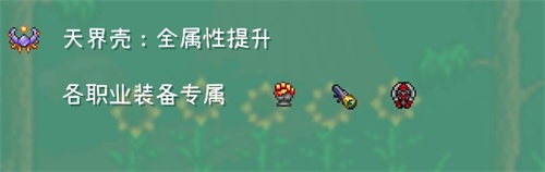 《泰拉瑞亚》法师毕业饰品攻略