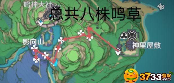 原神鸣草采集路线