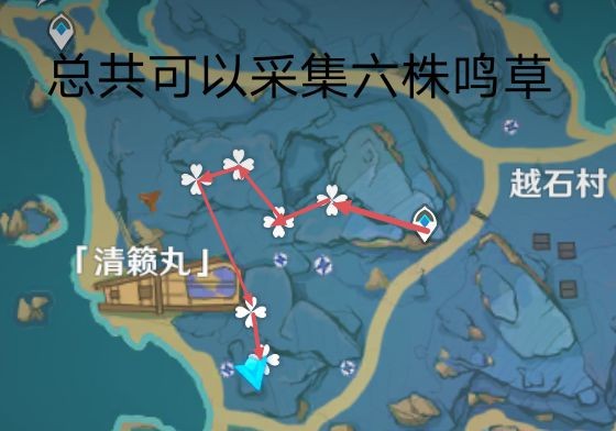 原神鸣草采集路线