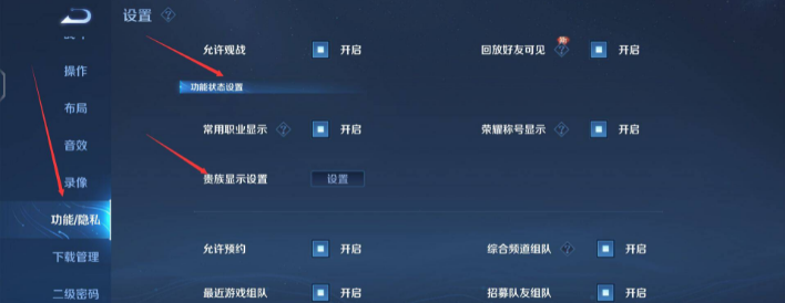 王者荣耀贵族显示开关在哪里