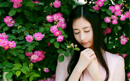 仙人掌app免费下载网址