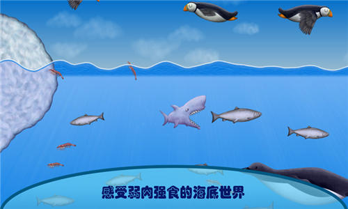 大鱼吃小鱼经典版