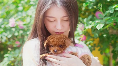 香蕉视频网址:人气热度好片快速上热搜榜