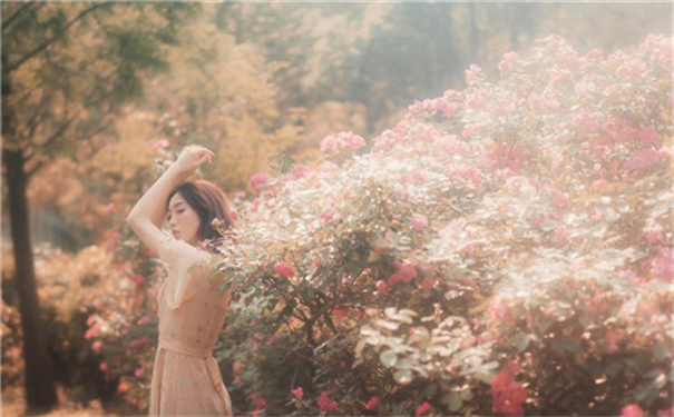 仙踪林贰佰信息网大豆行情网金属推出高清画质，网友：超高画质,体验十足