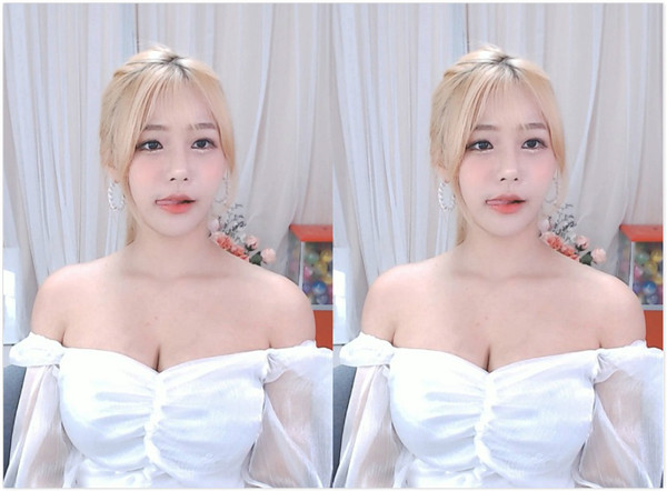 小奶狗app污下载免费版软件