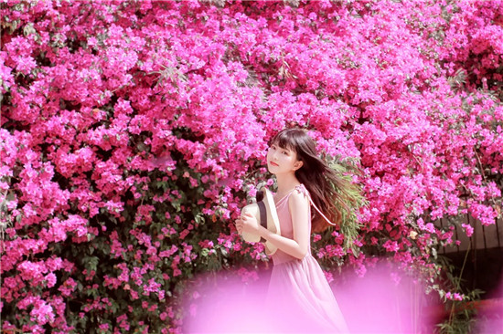 芭乐视频绿色观看版