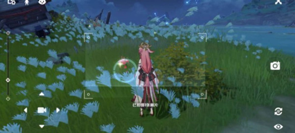 原神稻妻城特产位置一览