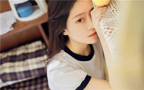 向日葵APP安卓下载免费安装:随时稳定提供安全又可靠的资源播放