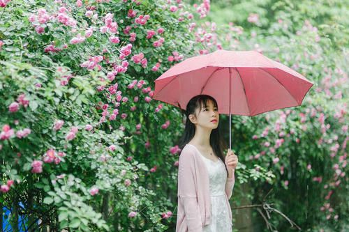 小草在线资源视频免费观看