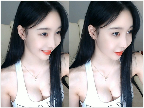 猫咪社区app官网入口进入app下载