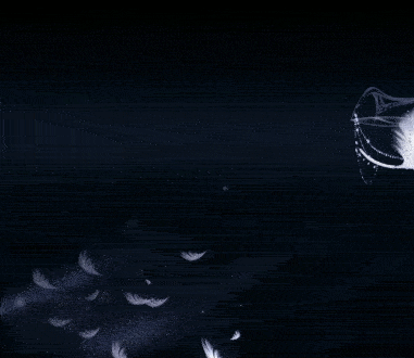 新品预告丨月下纷飞的羽毛，落在胸膛听见我的怦然心跳