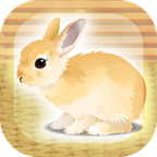 治愈兔兔养成中文版  v1.2