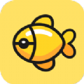 大金鱼APP  V1.0.1