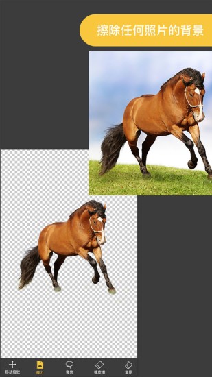 ProKnockOut破解版下载