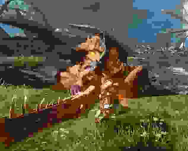 怪物猎人百龙夜行前期准备详解