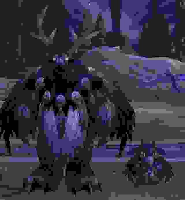 魔兽世界WLK鸟德输出详解