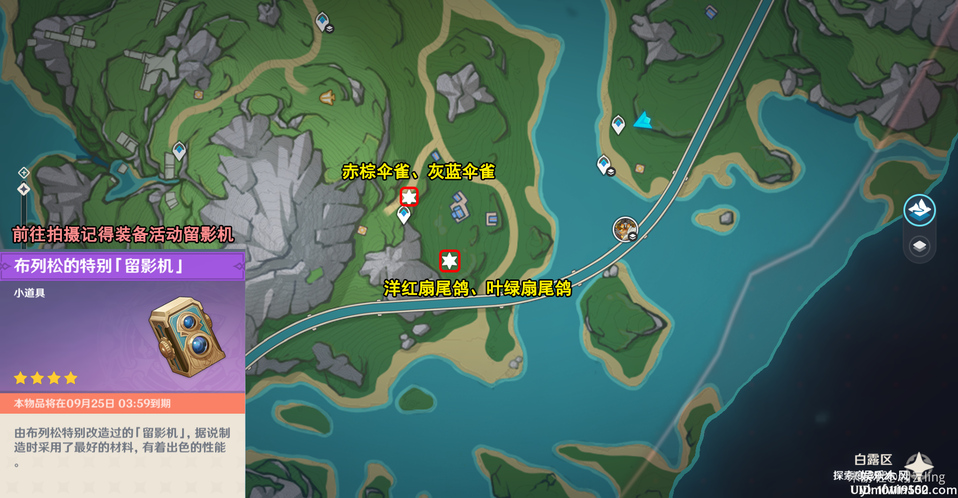 原神光影研学旖旎水界第四天怎么做-原神光影研学旖旎水界第四天攻略