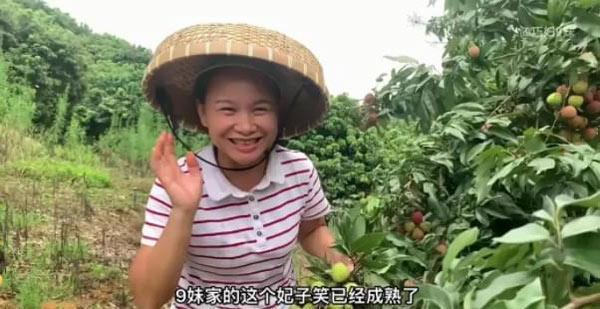 网红巧妇9妹直播带货被网友群嘲，2斤荔枝引发的掉粉惨案 