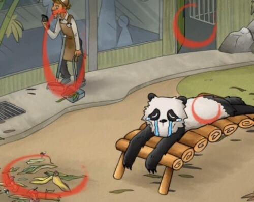 你是不是虾熊猫回家如何通关 你是不是虾熊猫回家通关攻略