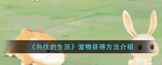 向往的生活怎么获得宠物 宠物获得方法介绍