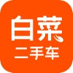 白菜二手车app官方版