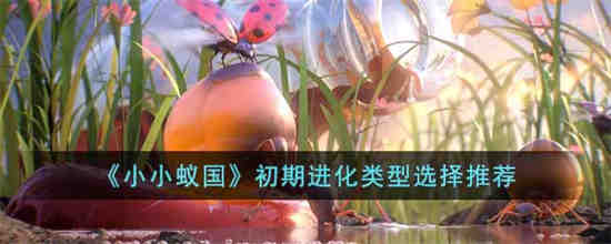 小小蚁国初期进化选择类型怎么选择 小小蚁国初期进化选择类型推荐