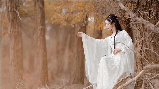 旧版芒果视频免费20次：旧版芒果APP大全